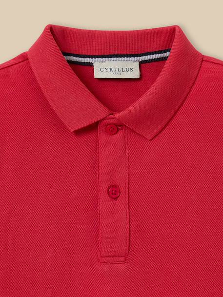 Polo garçon en coton bio Blanc+Celadon+Ciel+Marine+Rouge+Vert anglais 16 - vertbaudet enfant 