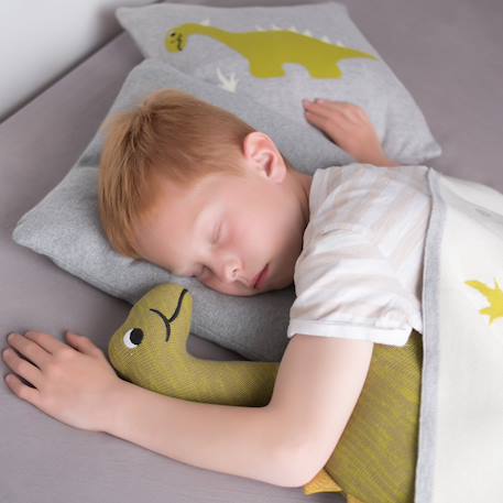 Taie de coussin en coton biologique Bleu, chaton+Écru, ourson+Gris, dino+Gris, renard+Gris, singe+Gris, toucan+Noir, chien+Rose, chat 15 - vertbaudet enfant 