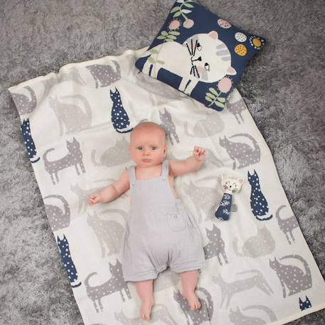 Taie de coussin en coton biologique Bleu, chaton+Écru, ourson+Gris, dino+Gris, renard+Gris, singe+Gris, toucan+Noir, chien+Rose, chat 5 - vertbaudet enfant 