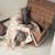 Hochet bébé en coton Blanc, marron+Gris, marron+Marron clair 8 - vertbaudet enfant 