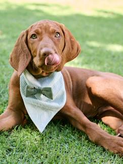 Linge de maison et décoration-Décoration-Bandana chien coton rayé