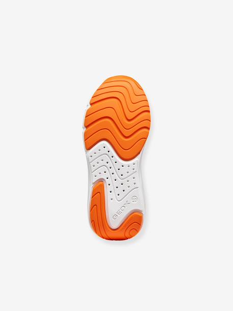 Baskets Pro-Ran Boy GEOX bleu 6 - vertbaudet enfant 