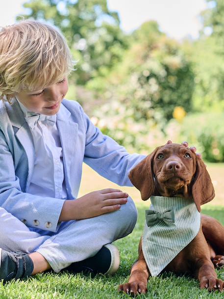 Bandana chien coton rayé vert sauge 7 - vertbaudet enfant 