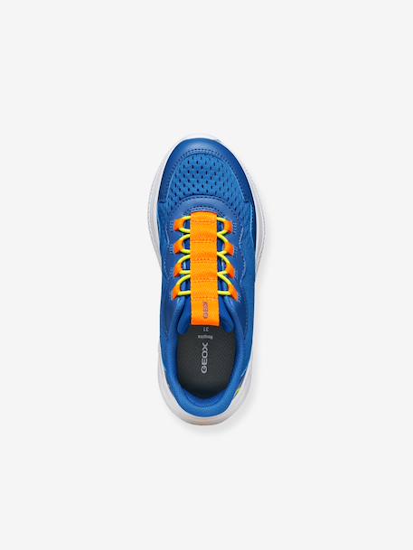 Sprintye Fast In GEOX bleu 6 - vertbaudet enfant 