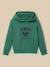 Sweat à capuche garçon - coton biologique Bleu+Vert 4 - vertbaudet enfant 