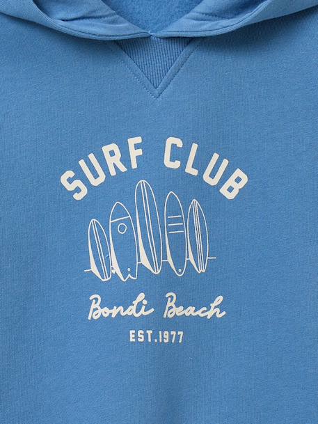 Sweat à capuche garçon - coton biologique Bleu+Vert 3 - vertbaudet enfant 