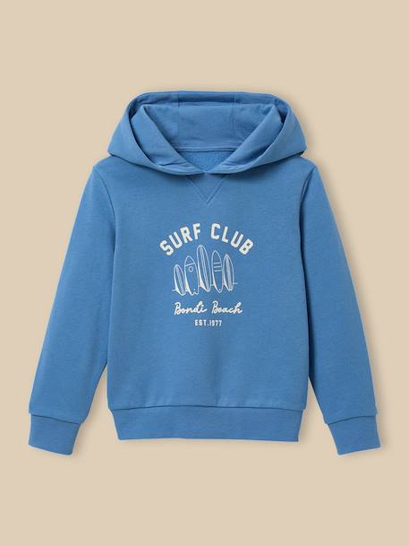 Sweat à capuche garçon - coton biologique Bleu+Vert 1 - vertbaudet enfant 