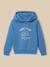 Sweat à capuche garçon - coton biologique Bleu+Vert 1 - vertbaudet enfant 