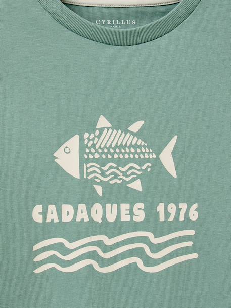 T-shirt imprimé garçon - coton biologique Blanc/surf+Bleu ciel / voilier+Bleu/skate+Celadon/fish+Gris chine/tennis+Marine / surflife 15 - vertbaudet enfant 
