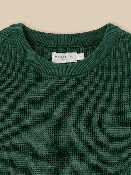 Pull point fantaisie garçon Marine+Vert 8 - vertbaudet enfant 