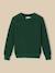 Pull point fantaisie garçon Marine+Vert 6 - vertbaudet enfant 