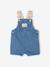 Ensemble T-shirt salopette bébé stone 4 - vertbaudet enfant 