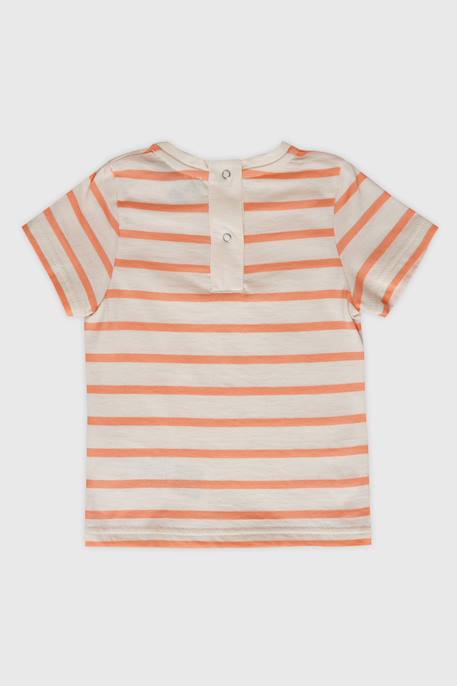 Marinière manches courtes bébé - coton léger Marmo/desert/flower 2 - vertbaudet enfant 