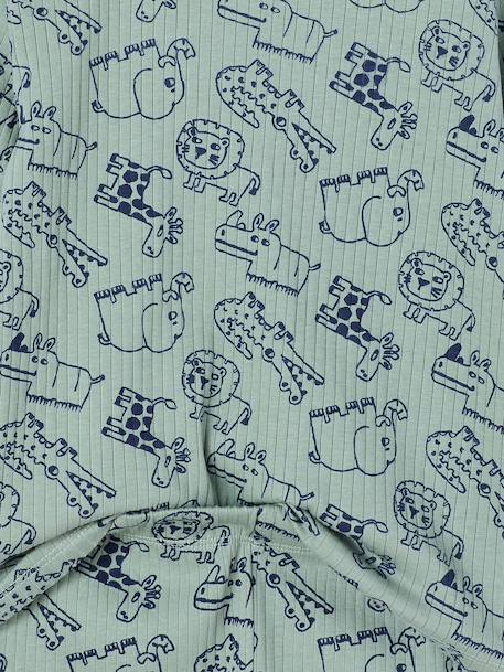 Pyjama garçon jungle vert sauge 7 - vertbaudet enfant 