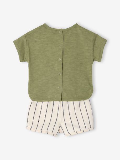 Ensemble 2 pièces coton garçon kaki 6 - vertbaudet enfant 