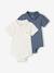 Lot de 2 bodies bébé naissance ouverture polo bleu ciel+écru 8 - vertbaudet enfant 