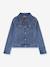 Veste denim trucker Levi's Kid's stone 1 - vertbaudet enfant 