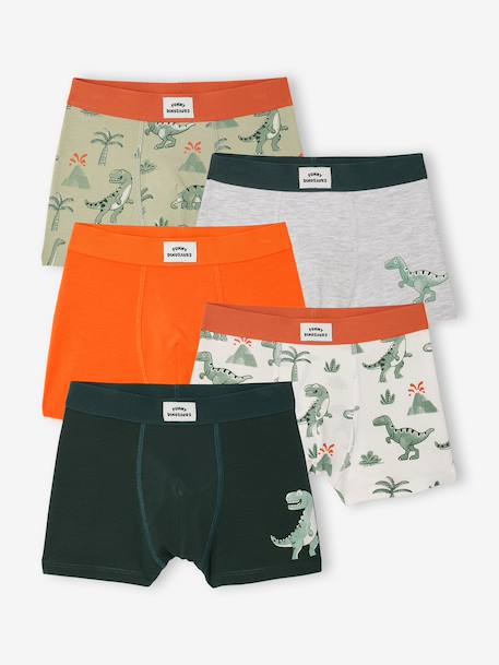 Garçon-Lot 5 boxers dino
