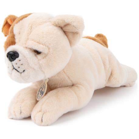 Peluche chien pour bébé bertha le bulldog américain - 20 cm Marron, blanc 2 - vertbaudet enfant 