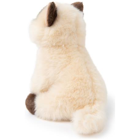 Peluche bébé eddie le chat siamois - 17cm Beige, brun et crème 3 - vertbaudet enfant 