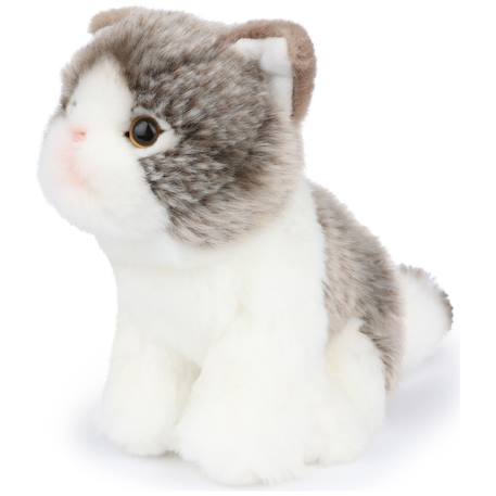 Peluche amélie le chat scottish fold - 17 cm - boite cadeau Gris, blanc 2 - vertbaudet enfant 