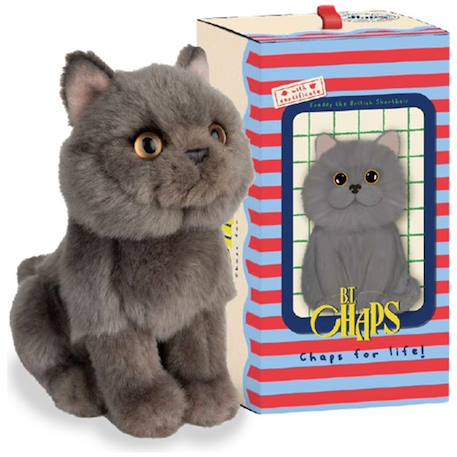 Peluche bébé freddy le chat british shorthair - 20cm Gris 2 - vertbaudet enfant 