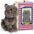 Peluche bébé freddy le chat british shorthair - 20cm Gris 2 - vertbaudet enfant 