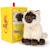 Peluche bébé eddie le chat siamois - 17cm Beige, brun et crème 6 - vertbaudet enfant 