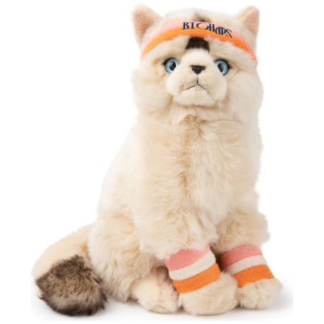 Peluche bébé dolly le chat ragdoll - 32 cm Ecru, orange, rose 1 - vertbaudet enfant 