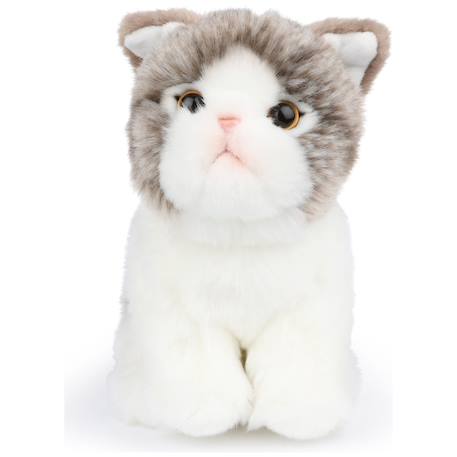 Peluche amélie le chat scottish fold - 17 cm - boite cadeau Gris, blanc 1 - vertbaudet enfant 