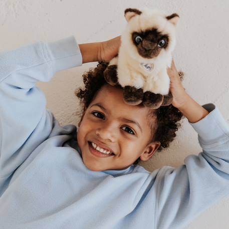 Peluche bébé eddie le chat siamois - 17cm Beige, brun et crème 5 - vertbaudet enfant 