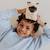 Peluche bébé eddie le chat siamois - 17cm Beige, brun et crème 5 - vertbaudet enfant 