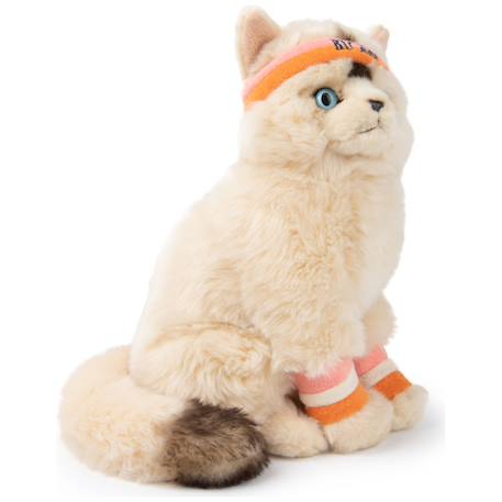 Peluche bébé dolly le chat ragdoll - 32 cm Ecru, orange, rose 2 - vertbaudet enfant 
