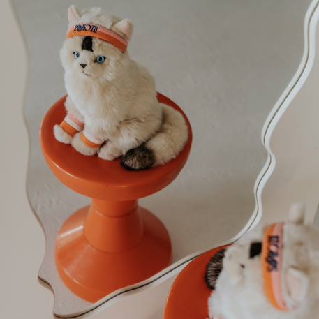 Peluche bébé dolly le chat ragdoll - 32 cm Ecru, orange, rose 4 - vertbaudet enfant 