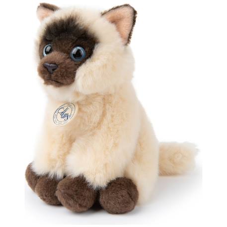 Peluche bébé eddie le chat siamois - 17cm Beige, brun et crème 2 - vertbaudet enfant 