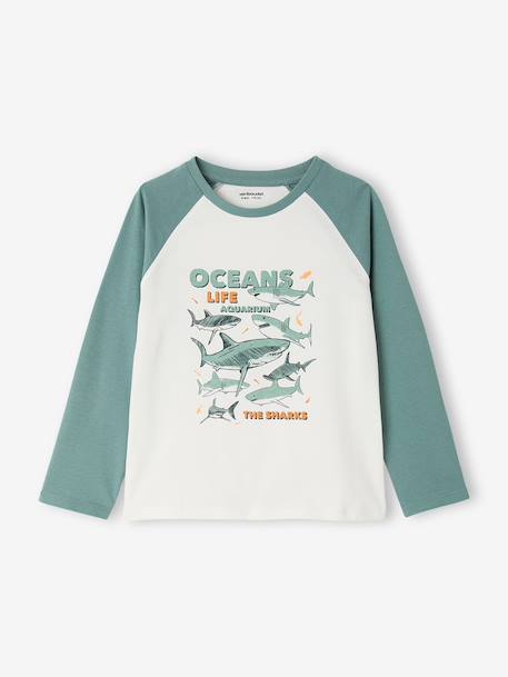 Lot de 2 pyjamas garçon en coton vert émeraude 6 - vertbaudet enfant 