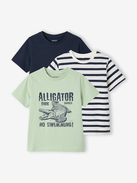 Garçon-Lot 3 T-shirts manches courtes