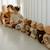 Tenue pour poupée petits carreaux (avec col) Ecru, beige 4 - vertbaudet enfant 