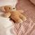 Housse de couette enfant imprimée en percale de coton, mini vichy Beige moyen 3 - vertbaudet enfant 