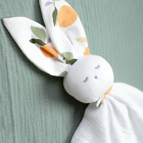 Doudou plat lapin  clem Clem, orange, vert 2 - vertbaudet enfant 