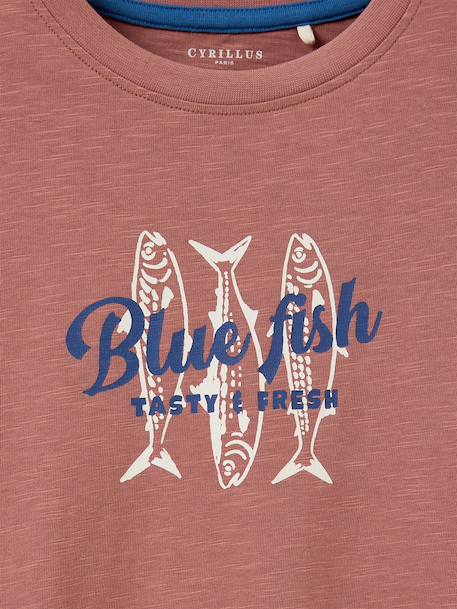 T-shirt imprimé garçon - coton biologique Ecru+Indigo+Terracotta 9 - vertbaudet enfant 