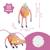 Veilleuse peluche à projection barnabé Rose 6 - vertbaudet enfant 