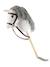 Hobby horse - cheval bâton taille S Bai+Blanc+Créme+Gris+Noir+Pie noir 7 - vertbaudet enfant 