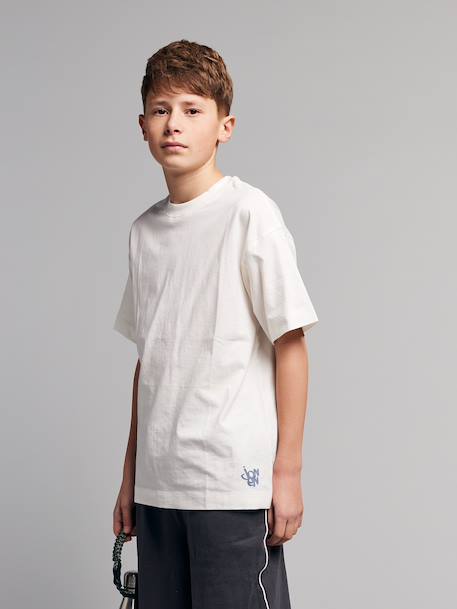 Lot 2 T-shirt manches courtes bleu grisé 4 - vertbaudet enfant 