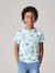 T-shirt garçon imprimé blanc chiné+bleu jean+lichen+menthe 10 - vertbaudet enfant 