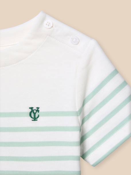Marinière bébé - coton biologique Rayure amande+Rayure ciel 2 - vertbaudet enfant 