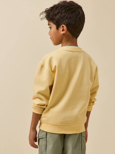 Sweat surf garçon - coton biologique Ciel+Sun 6 - vertbaudet enfant 