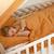 Housse de couette en gaze de coton jeanne Beige+Blanc+Blanc à pois or+Bleu+Camel+Écru+Gris clair+Rose+Terracotta+Vert de gris 34 - vertbaudet enfant 