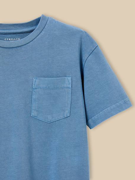 T-shirt garçon - coton biologique Celadon+Denim bleu 7 - vertbaudet enfant 