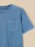T-shirt garçon - coton biologique Celadon+Denim bleu 7 - vertbaudet enfant 